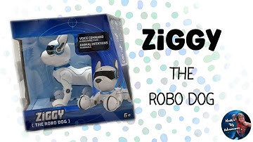 Ziggy the Robo Dog | Fun singing, dancing, barking, imitating robot dog