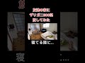ザリガニ注意報‼️