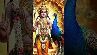 Murugan bakthisong🔱🙏🔱🙏 #devotionalsongs #bakthisongs #sprituality #muruganpadal