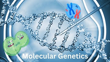 Molecular Genetics: The Blueprint of Life (3 Minutes)