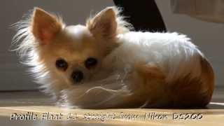 Nikon Flaat 11 Profile D5200 24-70mm 1:2.8