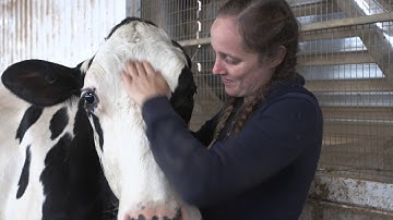 Youth Council launch video