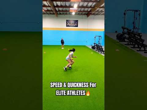 Speed & Quickness