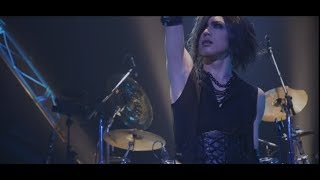 DIAURA — Lily 【Live】 chords
