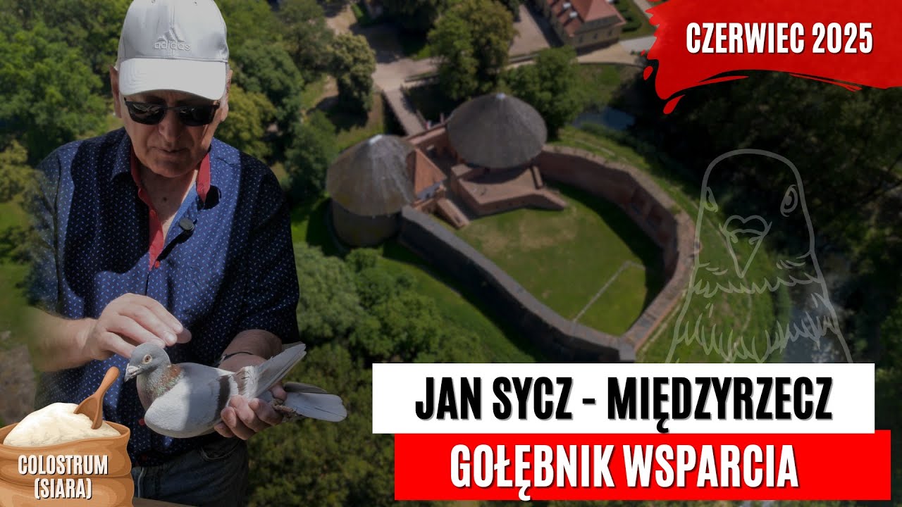 Nowa edycja!  Gołębnik wsparcia Czerwiec 2025_ Jan Sycz Międzyrzecz
