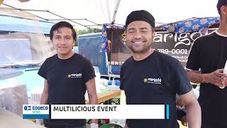 8th Annual Multicultural Festival - Multilicious Event