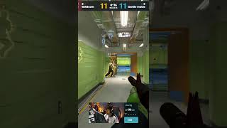 dav1g 3k #pgl_cs2 on #Twitch