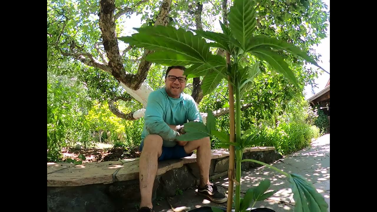 Spartan Training - Super cropping 1/2