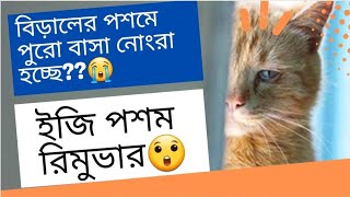 Easy cat fur remover/furfall solution বিড়ালের পশম রিমুভার #furremover #catfurfall #furfallsolution