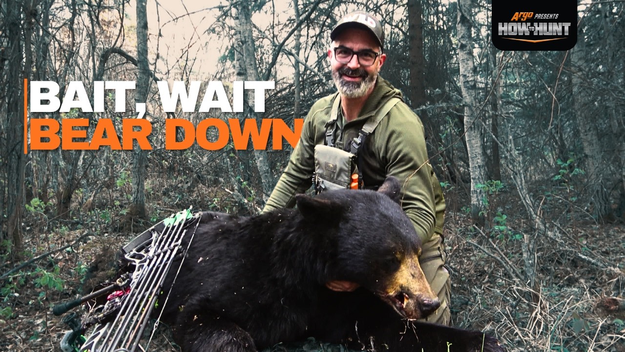 Приманка, ожидание, натиск | Как охотиться | S9 E2