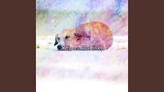 Lull Into Quiet
