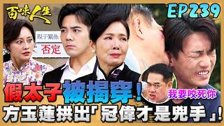 百味人生 EP239 完整版｜冠庭揭穿哥哥假太子身分！方玉蓮拱出「冠偉才是撞文祥的兇手」！嚴麗珍認為繁星就是「換臉」回來的青艾？！｜Bittersweet Destiny｜【莊廣和堂轉大人萃滴精】