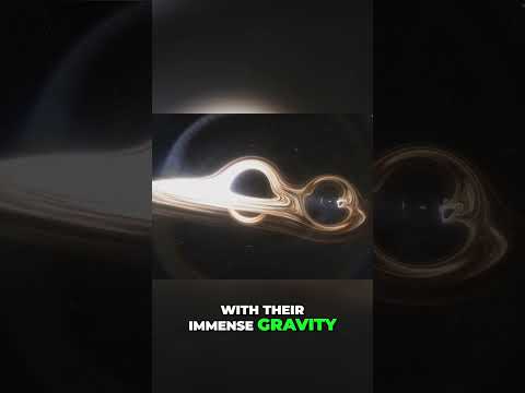 Unraveling the Neutron