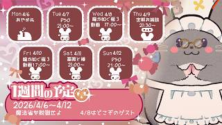 今週のスケジュール（4/6)