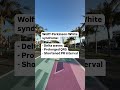 Wolf Parkinson White Syndrome WPW Shortvideo Wolf Parkinson White Syndrome WPW Shortvideo