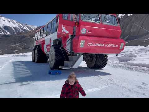 Jasper- Columbia glacier icefield bus explorer May 2021