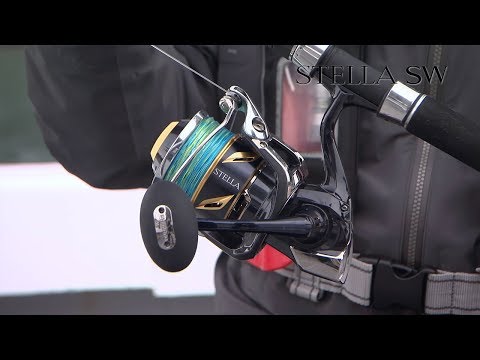 ステラSW / オシア ヘッドディップ 200F フラッシュブースト / オシア 別注平政 / オシア8