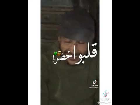 اغنيه أصل انا الي عامل البودر
