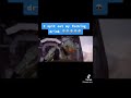 unexpected #masterchief #halo #meme