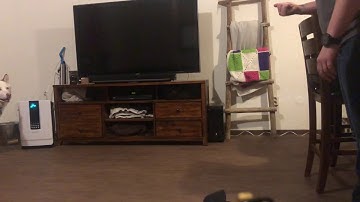 Latency of Responding & Scrolling Example