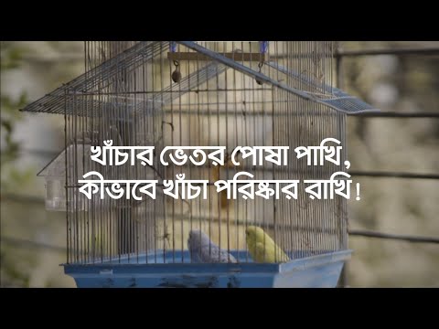 ভিডিও: কীভাবে নদীর তীর পরিষ্কার করবেন Clean