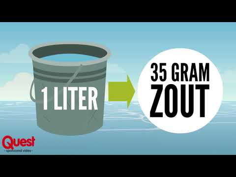 Video: Hoe Zeewater Te Bereiden?