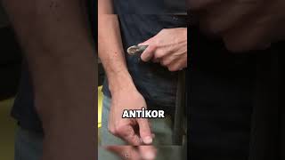 Bu Adam Ölümcül Yılan Zehrine Karşı Bağışıklı