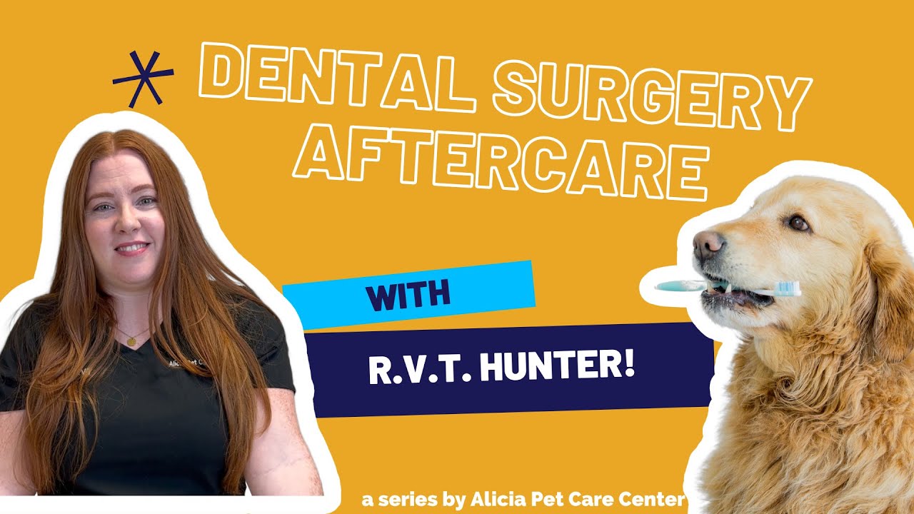 After Care Instructions for Dental Surgery YouTube