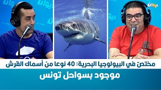 مختصّ في البيولوجيا البحرية: 40 نوعا من أسماك القرش موجود بسواحل تونس