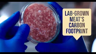 Lab-Grown Meat: Carbon Footprint Potentially Higher Than Natural Beef