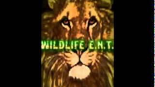 Wildlife Ent Lil Webba-Big Dreams Prodby Johnephoenix