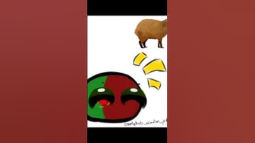 capybara #countryballs #countryball #foryou #animation
