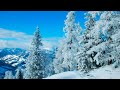 ВОЛШЕБСТВО И ОЧАРОВАНИЕ ЗИМНЕЙ ПРИРОДЫ(THE MAGIC AND CHARM OF WINTER NATURE)!!!