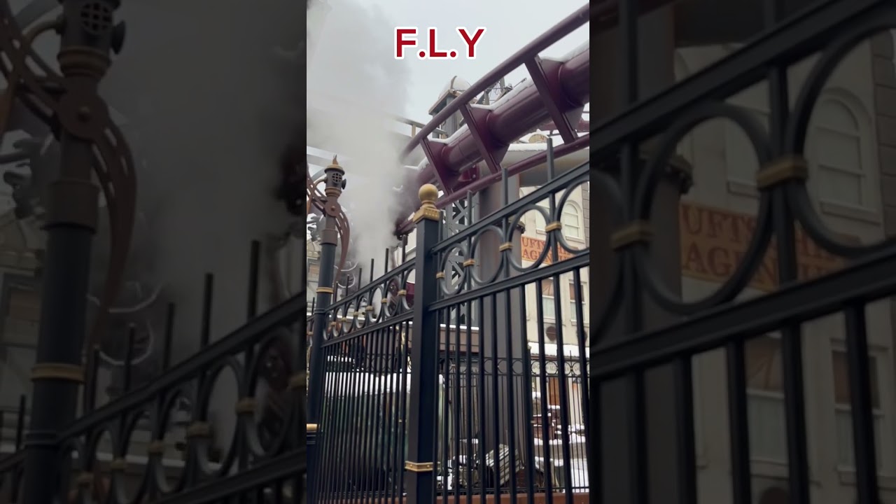 F.L.Y at Phantasialand ! 