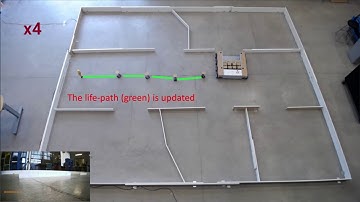 Kangaroo-Inspired Heterogeneous Swarm of Mobile Robots for Fast Exploration and Rescue Operations