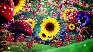 Full Colors 4k loop screenshot 5