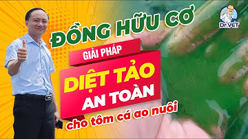 Đồng hữu cơ - Giải pháp diệt tảo an toàn cho tôm cá ao nuôi | Dr.Vet