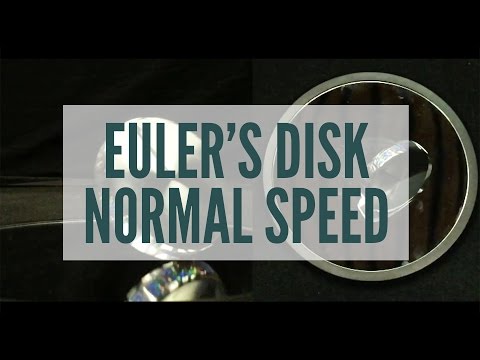 Euler's Disk: normal speed