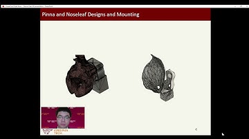 Tendon Actuation System for a Soft-Robotic Bat Head