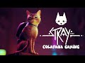 STRAY / ФИНАЛ / ЧАСТЬ 7