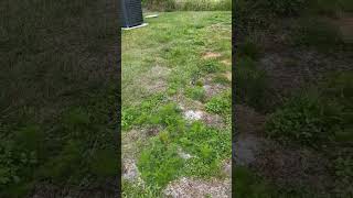 IMG 4025