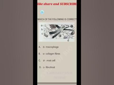 Daily practice question of biology for Neet 2022 | Diagram based