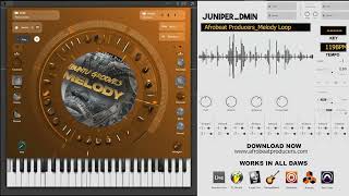 FREE DOWNLOAD Melody Loop 100% Royalty Free | Afro House Melody Sample | Juniper Dmin 119BPM wav FREE DOWNLOAD Melody Loop 100% Royalty Free | Afro House Melody Sample | Juniper Dmin 119BPM wav