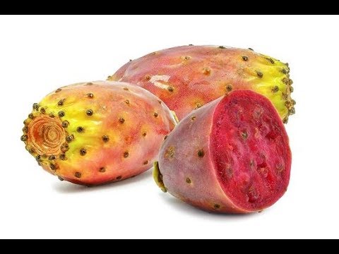 فوائد التين الشوكي/ الصبر - ArabTub3