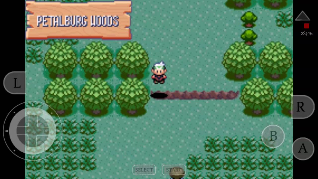 Mr. Briney (6) Pokemon Emerald Version