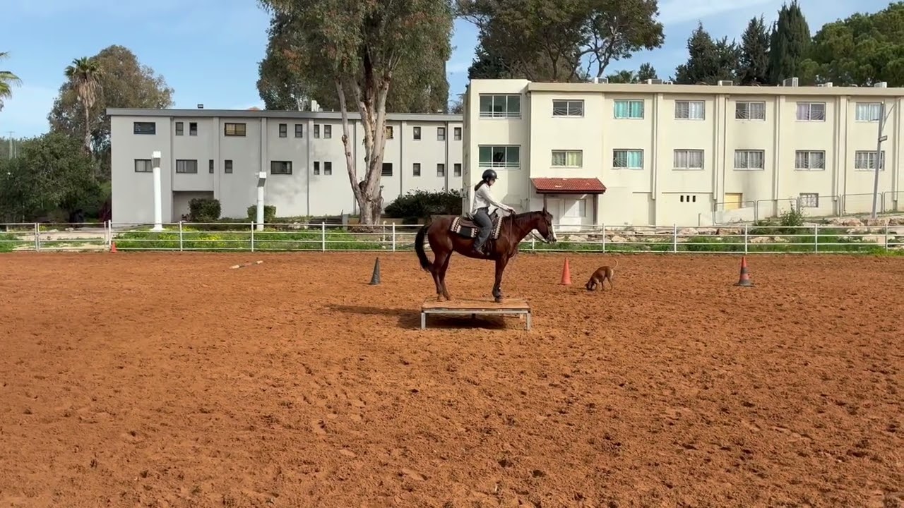 Ella Tzaban with Pick N upstart bar (2141) 15 rookie IEXCA virtual show # 1 2026