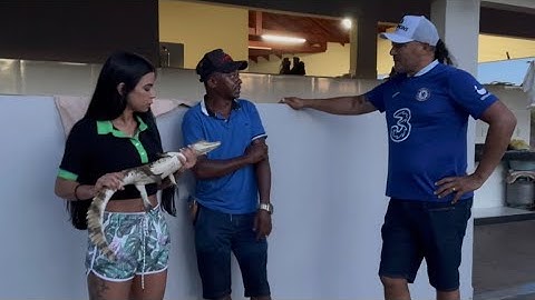 CHAMEI CHARLLES PARA VER O JACARÉ QUE TÕE QUERIA FAZER TIRA GOSTO