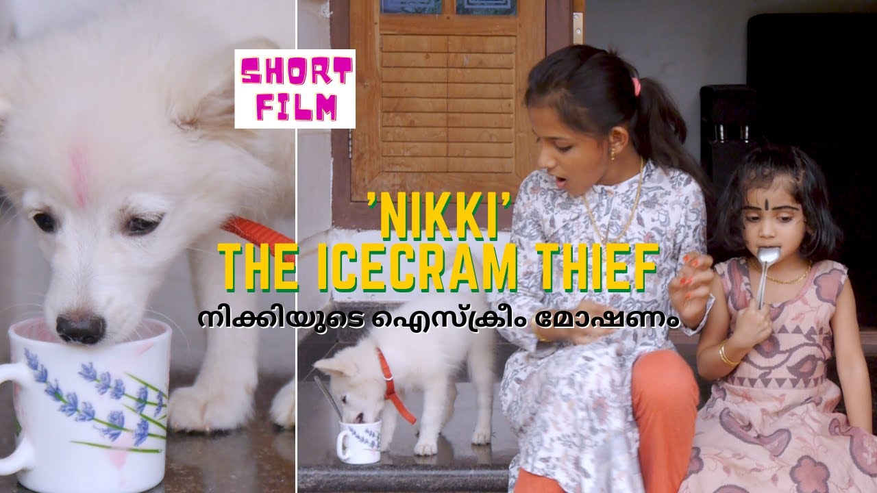 ഐസ്ക്രീം മോഷ്‌ടിച്ച പപ്പിക്ക് കിട്ടിയ പണി 😂  | Puppy | Short Film | NIKKI' The Ice-cream Thief