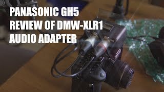 Review of Panasonic DMWXLR1 XLR Adapter