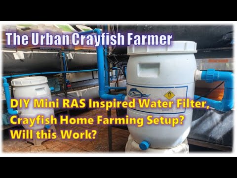 Diy Ras DIY Mini RAS Inspired Water Filter System for Our Crayfish Home Farming ...